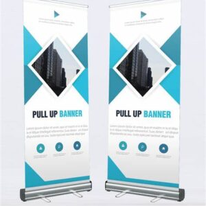 Budget Pull up banner
